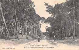 06-JUAN LES PINS-N°3787-H/0263 - Juan-les-Pins