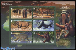 Gibraltar 2011 Endangered Animals 6v M/s, Mint NH, Nature - Animals (others & Mixed) - Bears - Cat Family - Elephants .. - Gibilterra