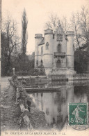 60-CHÂTEAU DE LA REINE BLANCHE-N°3788-D/0033 - Other & Unclassified