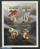 Congo Dem. Republic, (zaire) 1996 Mushrooms 4v M/s, Mint NH, Nature - Mushrooms - Hongos