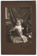 Fotografie Carl Fiedler, Freudenstadt, Mädchen Nebst Hund Cocker Spaniel  - Anonyme Personen