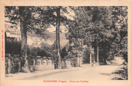 88-PLOMBIERES-N°3788-E/0351 - Plombieres Les Bains