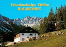 73741562 Haldensee Edenbachalpe Alpen Almvieh Haldensee - Altri & Non Classificati