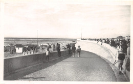 62-BERCK PLAGE-N°3788-H/0393 - Berck