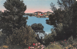 06-SAINT JEAN CAP FERRAT-N°3788-H/0071 - Saint-Jean-Cap-Ferrat