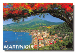 972-MARTINIQUE SAINT PIERRE MONT PELEE-N° 4422-B/0167 - Other & Unclassified