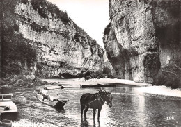 48-GORGES DU TARN LES DETROITS-N° 4422-A/0187 - Gorges Du Tarn