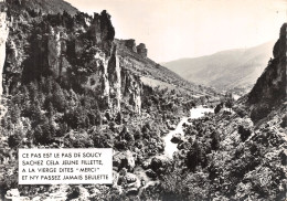 48-GORGES DU TARN LE PAS DE SOUCY-N° 4422-A/0189 - Gorges Du Tarn