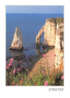 76-ETRETAT-N° 4422-A/0157 - Etretat