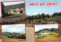 68-ROUTE DES CRETES-N° 4422-A/0093 - Sonstige & Ohne Zuordnung