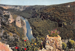 07-GORGES DE L ARDECHE CIRQUE DE LA MADELEINE-N° 4423-A/0049 - Other & Unclassified