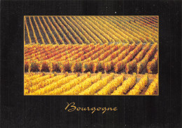 51-EN BOURGOGNE-N° 4422-D/0227 - Andere & Zonder Classificatie