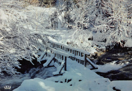 88-LES VOSGES VIEUX PONT EN FORET-N° 4423-D/0087 - Autres & Non Classés