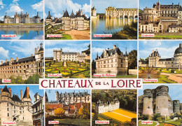 41-CHÃ‚TEAUX DE LA LOIRE-N° 4423-C/0333 - Andere & Zonder Classificatie