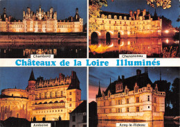 41-CHATEAUX DE LA LOIRE-N° 4423-C/0285 - Andere & Zonder Classificatie