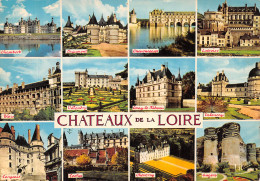 41-VAL DE LOIRE CHATEAUX-N° 4423-B/0287 - Andere & Zonder Classificatie