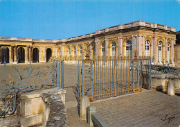 78-VERSAILLES LE CHATEAU-N° 4424-C/0299 - Versailles (Schloß)