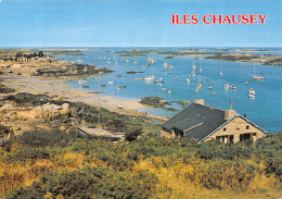 50-LES ILES CHAUSEY-N° 4425-D/0017 - Altri & Non Classificati