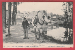 Halle / Hal - Haleur Longeant Le Canal De Charleroi - 1904 ( Verso Zien ) - Halle