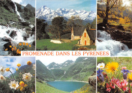 65-LES PYRENEES-N° 4426-A/0297 - Other & Unclassified