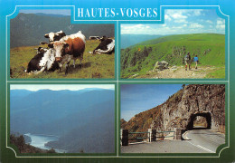 68-HAUTES VOSGES-N° 4425-D/0223 - Other & Unclassified