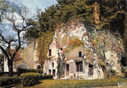 37-TOURAINE MAISON TROGLODYTE-N° 4426-D/0145 - Autres & Non Classés