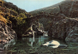 20-ASCO LE PONT GENOIS-N° 4426-C/0139 - Autres & Non Classés