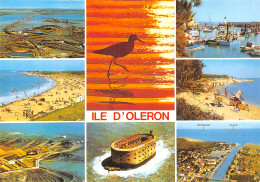 17-ILE D OLERON-N° 4427-B/0085 - Ile D'Oléron