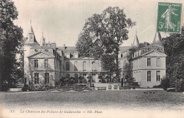 60-LE CHATEAU DU PRINCE DE RADZIVILLE-N° 4429-A/0225 - Autres & Non Classés