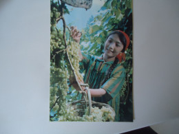 CHINA    POSTCARDS  WOMENSCUTTING GRAPES    FOR MORE PURHASES 10% DISCOUNT - Cina