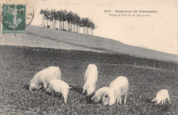 TH-ANIMAUX COCHONS-N° 4429-H/0207 - Pigs