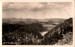 H1766 - Polenztal - Brandthotel - Hans Pritzel Handabzug - Hohnstein (Sächs. Schweiz)