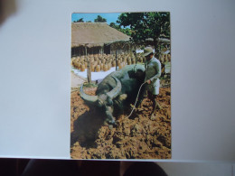 JAPAN     POSTCARDS ISCHIGAGIRJIMA   BUFFALO WORKER     FOR MORE PURHASES 10% DISCOUNT - Sonstige & Ohne Zuordnung