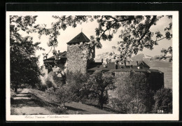 AK Vaduz, Schloss Vaduz Mit Weg  - Liechtenstein