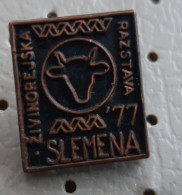 Cattle Cows Livestock Exhibition Slemena 1977 Slovenia Ex Yugoslavia Pin - Animaux