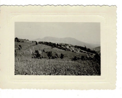 Ref 1 - Photo : Labaroche , Panorama Du Grand Hohnack , Alsace  - France . - Europe