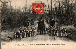 N°1221 W -cpa Chasse à Courre -Fontainebleau- Arrivée De La Meute- - Hunting
