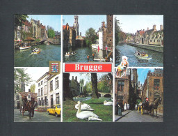 BRUGGE -  GROETEN UIT BRUGGE  (13.981) - Brugge