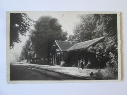 Romania-Băile Episcopia:Gara/Railway Station/Gare/Bahnhof 1936 Mailed Photo Postcard - Roemenië
