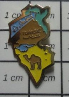 3617 Pin's Pins / Beau Et Rare / ANIMAUX / CHAMEAU DROMADAIRE TUNISIE LA SOU.... ? - Animaux