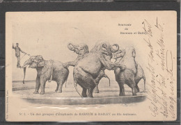 Cirque - Souvenir De Barnum Et Bailey - Un Des Groupes D' Eléphants De Barnum & Bailey En File Indienne - Zirkus