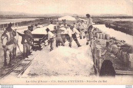 83 SALINS D'HYERES RECOLTE DU SEL - Hyeres