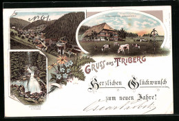 Lithographie Triberg / Schwarzwald, Bauernhaus, Wasserfall, Teilansicht  - Triberg