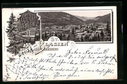 Lithographie St. Blasien, Ortsansicht, Blick Auf Gasthaus  - St. Blasien