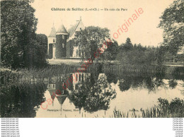 41.  Château De SEILLAC .  Un Coin Du Parc . - Sonstige & Ohne Zuordnung