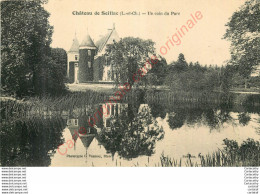 41.  Château De SEILLAC .  Un Coin Du Parc . - Autres & Non Classés