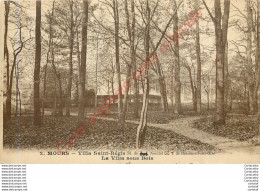 95.  MOURS .  Villa Saint-Régis .  La Villa Sous Bois . - Mours