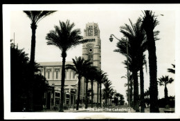 Port Said The Cathedrale - Port-Saïd