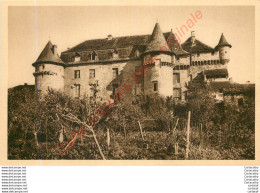 46.  LACAPELLE MARIVAL .  Le Château . - Lacapelle Marival