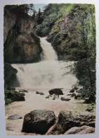 FRANCE - JURA - CHAMPAGNOLE - Cascade De La Billaude - Champagnole